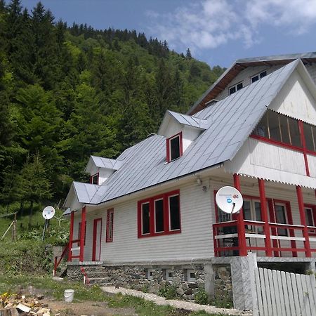 Cabana Dara Cumpăna Cameră foto
