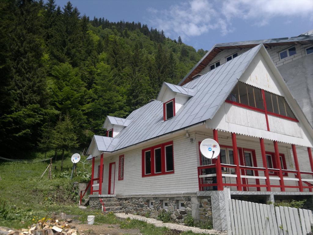 Cabana Dara Cumpăna Cameră foto